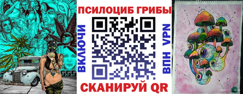 где продают   Безенчук  Галлюциногенные грибы MAGIC MUSHROOMS 