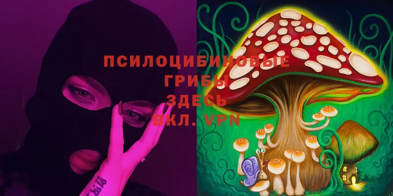 Псилоцибиновые грибы MAGIC MUSHROOMS  Безенчук 